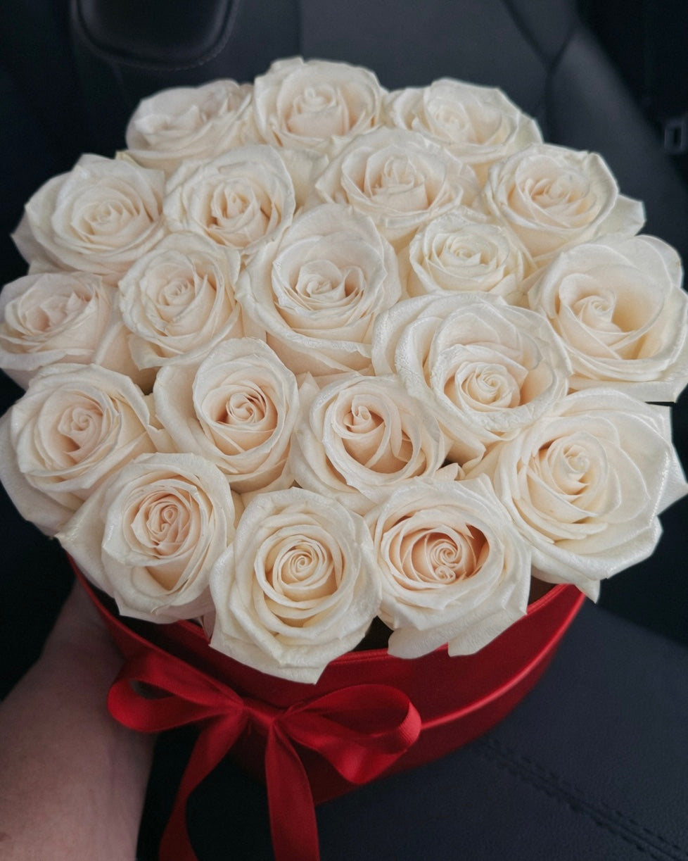 Bouquet of white roses in a red box on a car seat