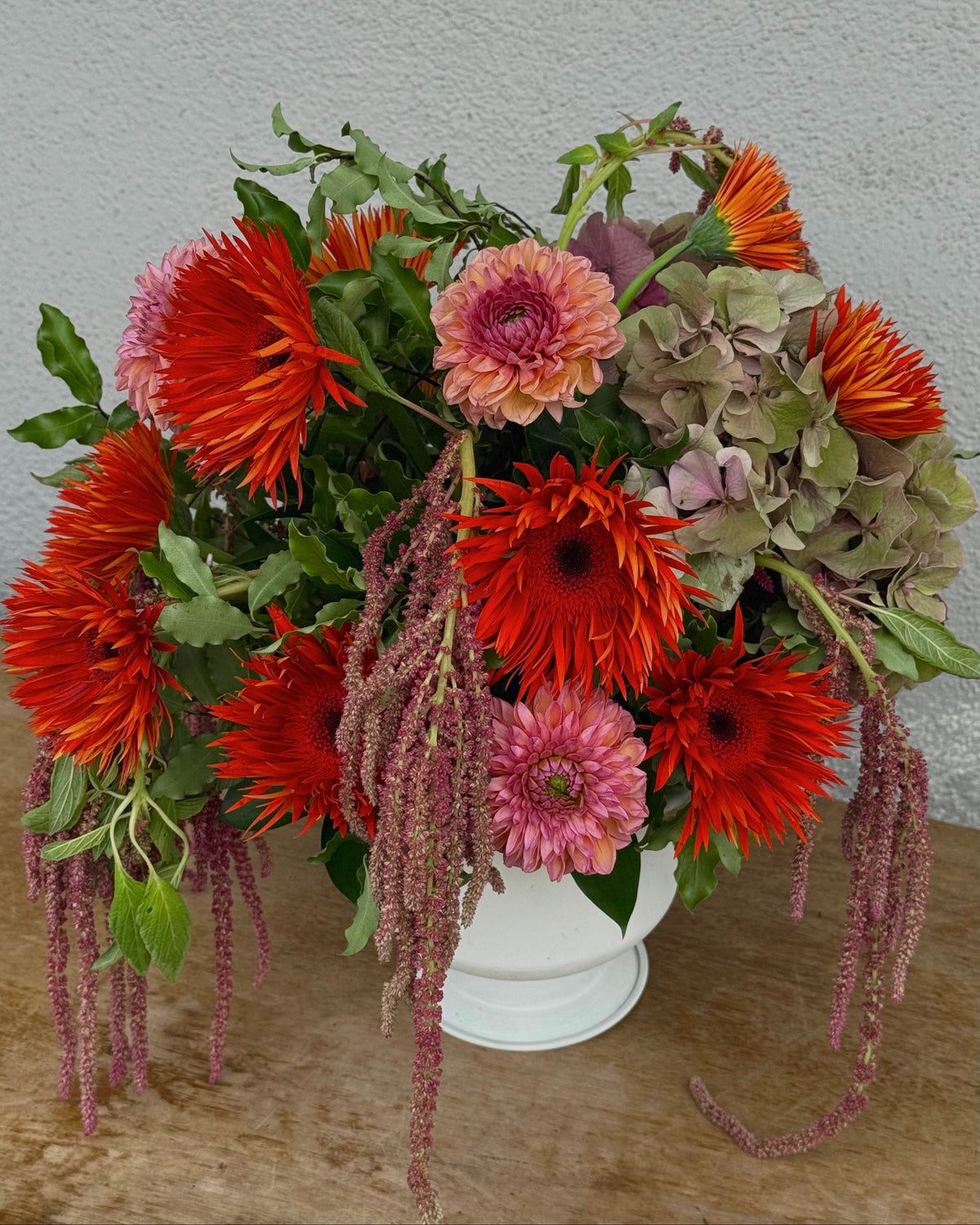 A vibrant floral arrangement featuring bright red-orange gerbera daisies, coral dahlias, green hydrangea blooms, and trailing burgundy amaranthus in a white ceramic pot, set on a wooden surface against a textured gray wall.