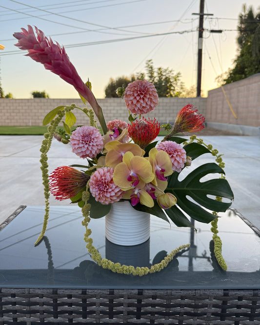 Small Tropical Arrangement