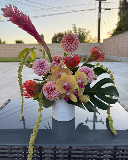 Small Tropical Arrangement