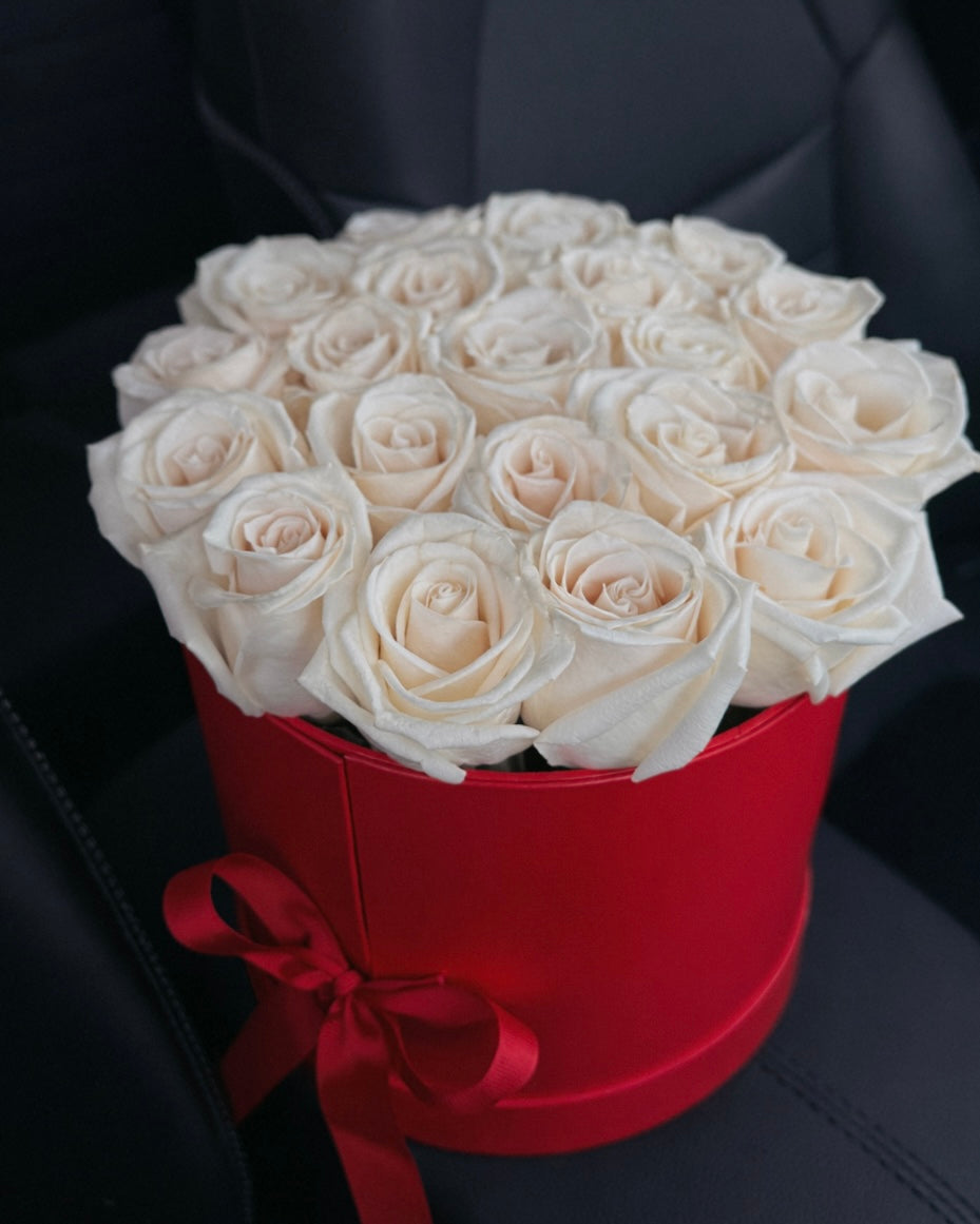 Bouquet of white roses in a red box on a car seat