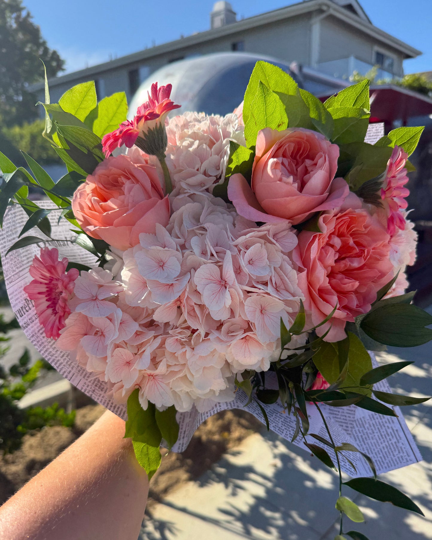A vibrant flower bouquet outdoors. The bouquet features light pink hydrangeas, pink garden roses, and pink gerbera daisies with fresh green leaves, wrapped in white newsprint paper.